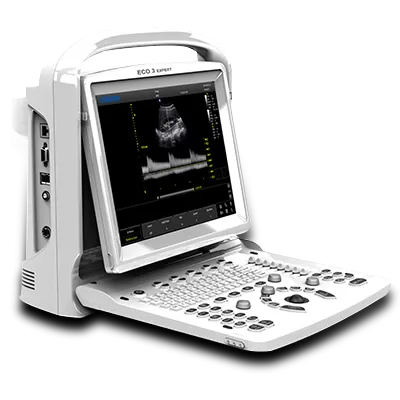 B&W Ultrasound